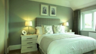 رؤية اللون الأخضر في المنام