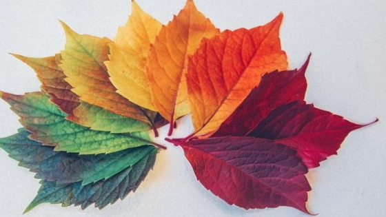 تغير الموسم على الدورة الشهرية