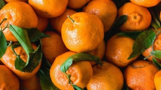 فوائد اليوسفي