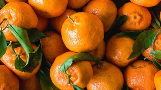 فوائد اليوسفي