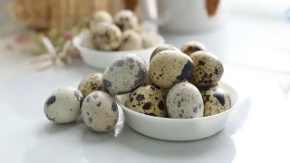 فوائد بيض السمان