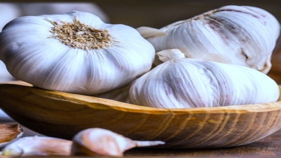 تخزين الثوم