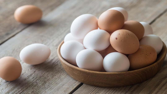 نصائح حول استهلاك البيض