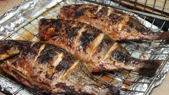 تفسير رؤية السمك في المنام