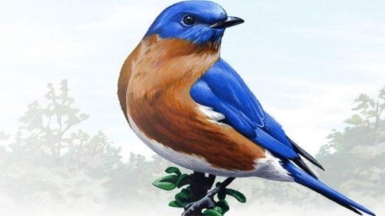 تفسير رؤية العصفور في المنام