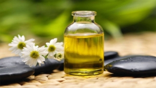 فوائد زيت الأوكالبتوس