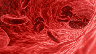 ما سبب الإصابة بفقر الدم وما أعراضه؟