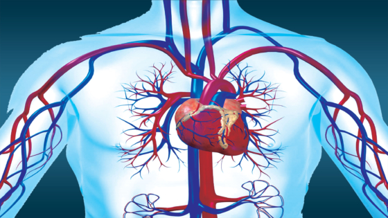 أعراض ضعف عضلة القلب