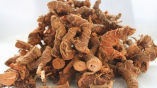 فوائد عشبة الخولنجان للنساء