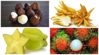 أغرب فواكه في العالم