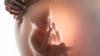 الجنين في الاسبوع الثالث والثلاثين