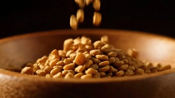 الحلبة في المنام