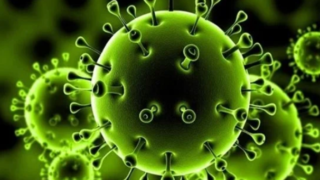 فيروس كورونا