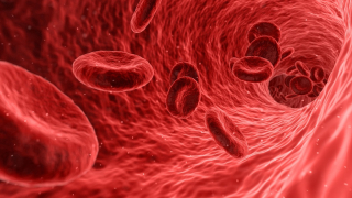 ما هو تركيز الدم؟ وما هي أعراضه؟