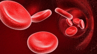 كيفية علاج سرطان الدم