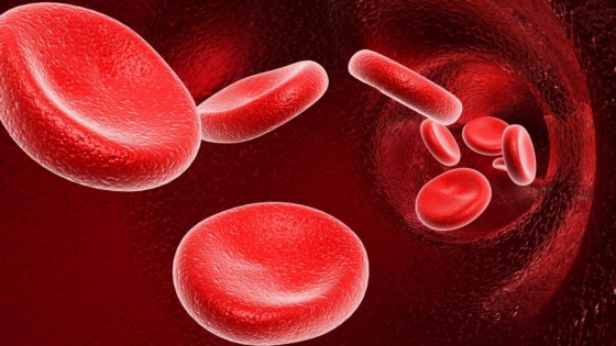 كيفية علاج سرطان الدم