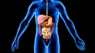 ما هي الحموضة المعوية