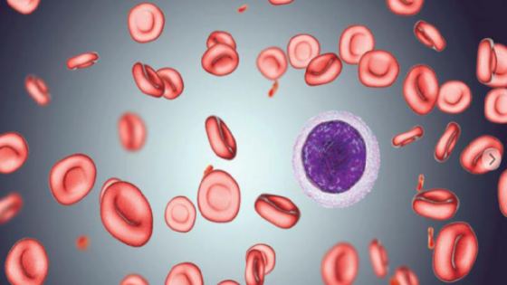 لماذا يحدث فقر الدم