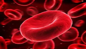 تنقية الدم تعرف على أشهر 2 من النباتات الطبية المفيدة لها