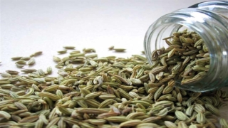 خصائص الشمر