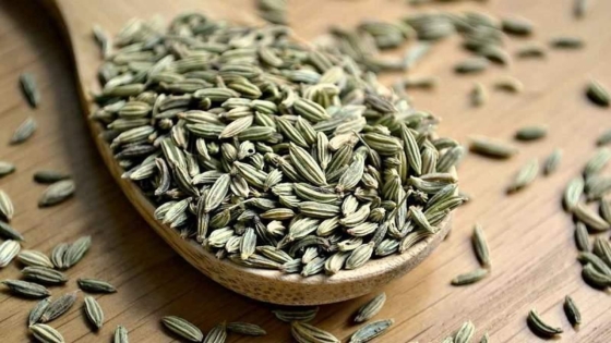 ما هي فوائد الشمر؟