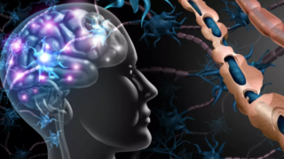 مرض التمرض التصلب العصبي المتعددصلب العصبي المتعدد