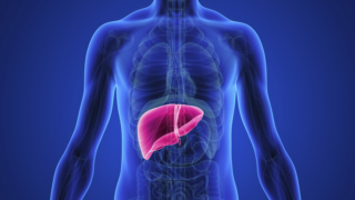 أعراض تسمم الكبد