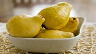 تخزين الجوافة