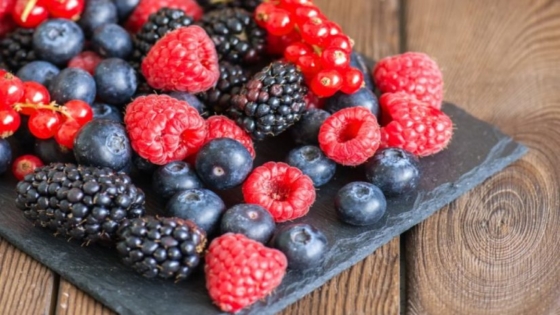 فوائد التوت البري الاسود للتخسيس