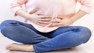 حشيشة الهر العشبية