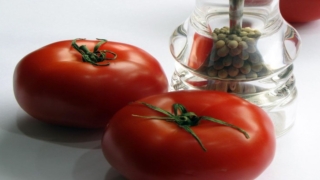 زيت بذور الطماطم