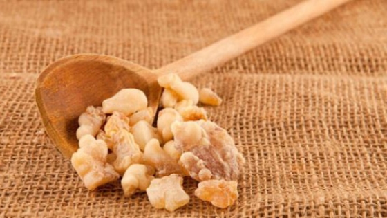 فوائد لبان الذكر للشعر