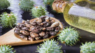 خصائص زيت الخروع