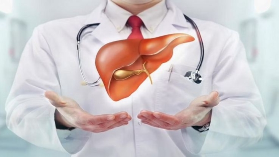 علاج الكبد الدهني