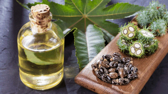 زيت الخروع لتنحيف البطن