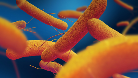 أعراض مرض السالمونيلا