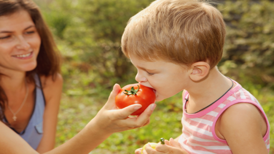 تناول الطماطم للأطفال