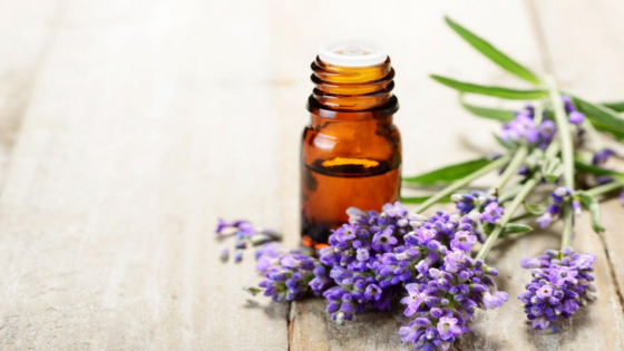 فوائد اللافندر