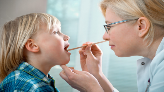 الزائدة الأنفية