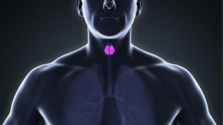 فرط نشاط جارات الدرق