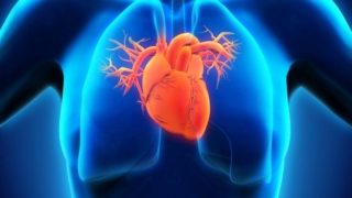 خفقان القلب