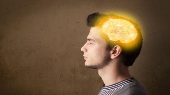 شيخوخة الدماغ