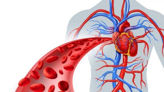 ضعف الدورة الدموية