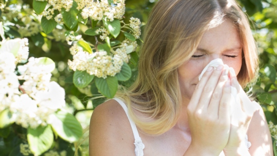 أعراض حمى الشعير