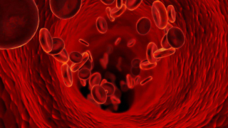 علاج فقر الدم