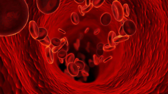 علاج فقر الدم