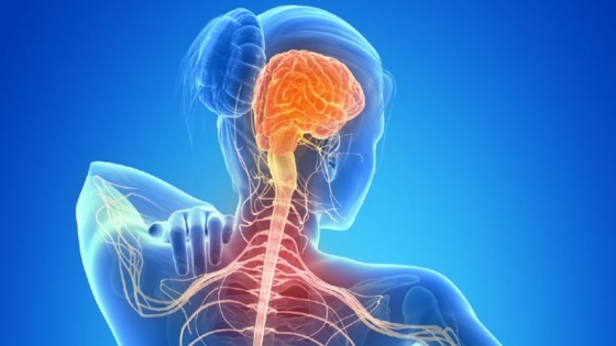 التصلب المتعدد