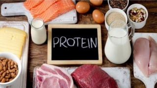 تناول البروتين