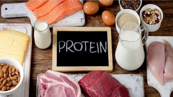 تناول البروتين