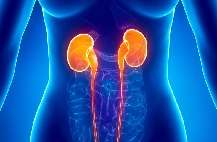 LI - موقع رموش